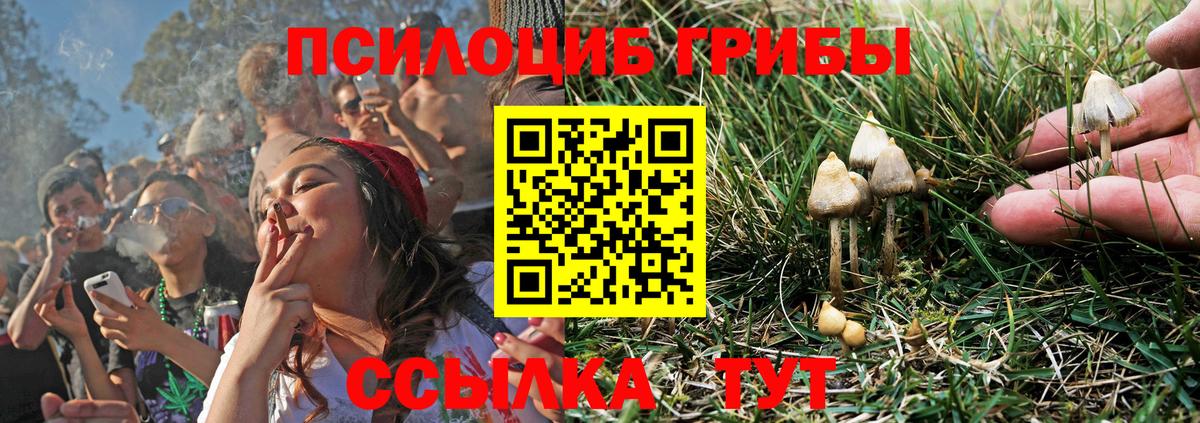 Белая Калитва  Галлюциногенные грибы мицелий  Вход с VPN  Галлюциногенные грибы Cubensis 
