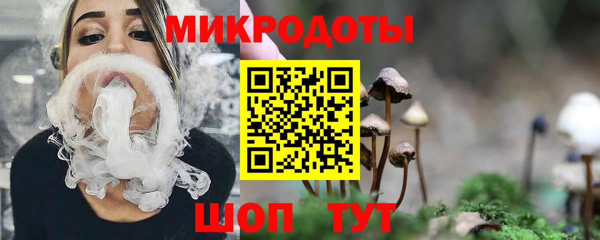 Псилоцибиновые грибы Psilocybe Белая Калитва